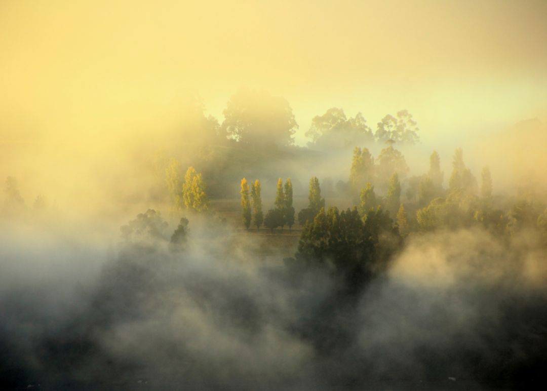 Universal Fog
