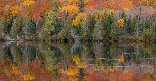Autumn Reflections