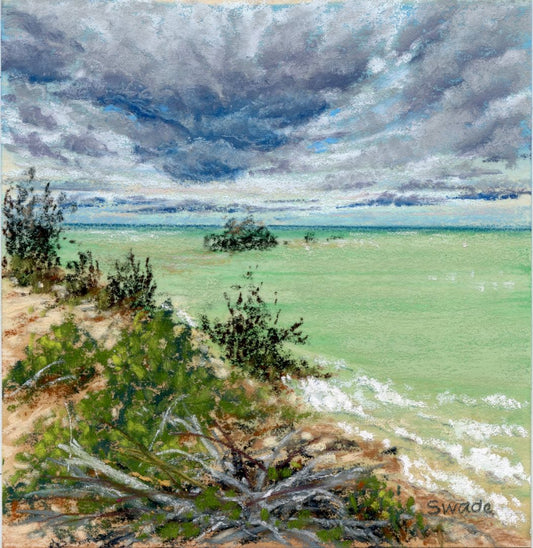 Shoreline Treasures after the Storm