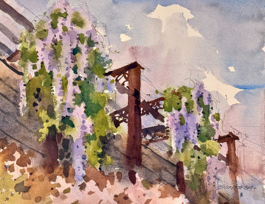 Wisteria at Historic Barns Park