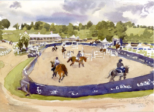 Horse Training at Flintfields