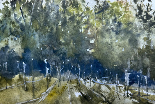 Early Morning at Mari Vineyards