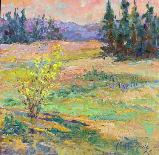 Fallow Field
