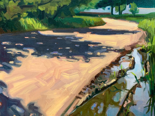 Reflections in the Roadside