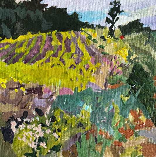 Corn