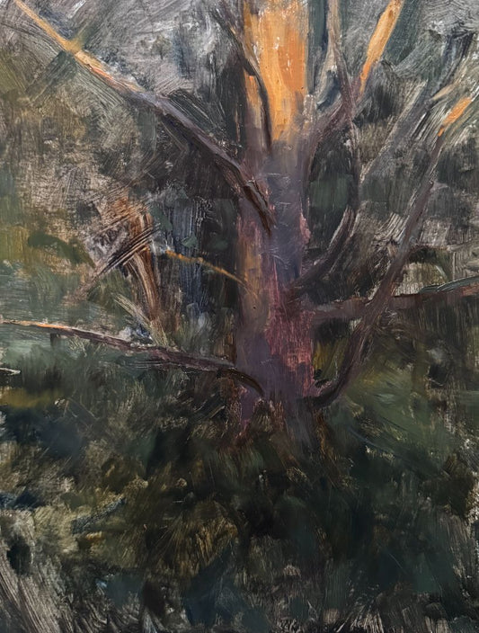 Last Light