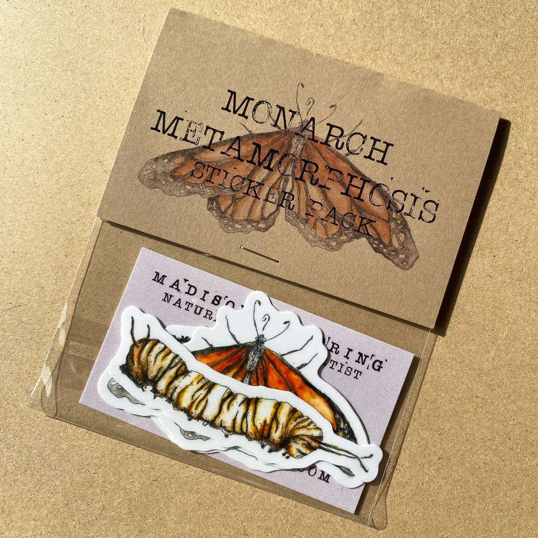 Monarch Metamorphosis Sticker Pack