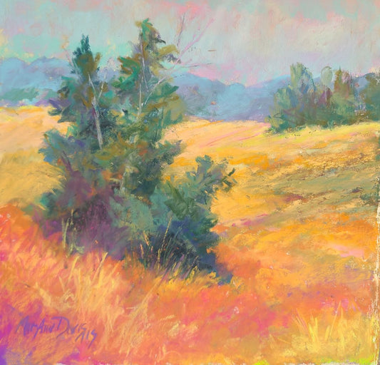 Summer Field