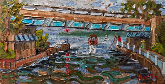 Bridges Over the Boardman