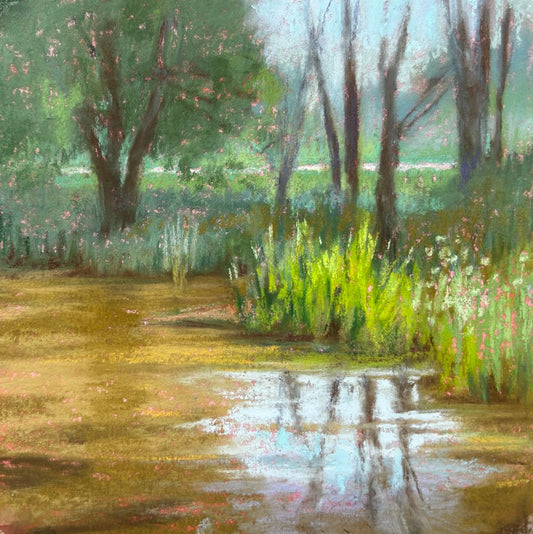 Empire Wetlands